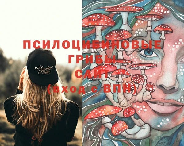 apvp Пестово