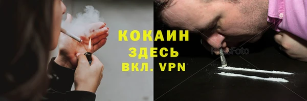 apvp Пестово