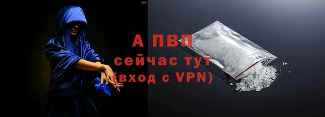 спайс Пересвет