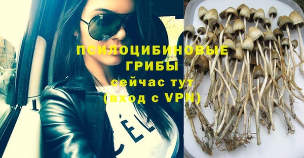 apvp Пестово