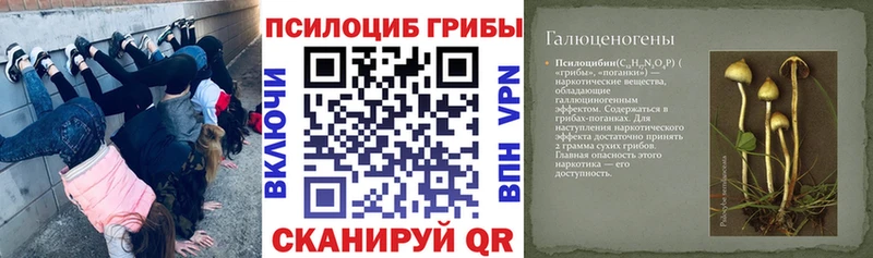 Псилоцибиновые грибы мухоморы  маркетплейс как зайти  Луховицы 
