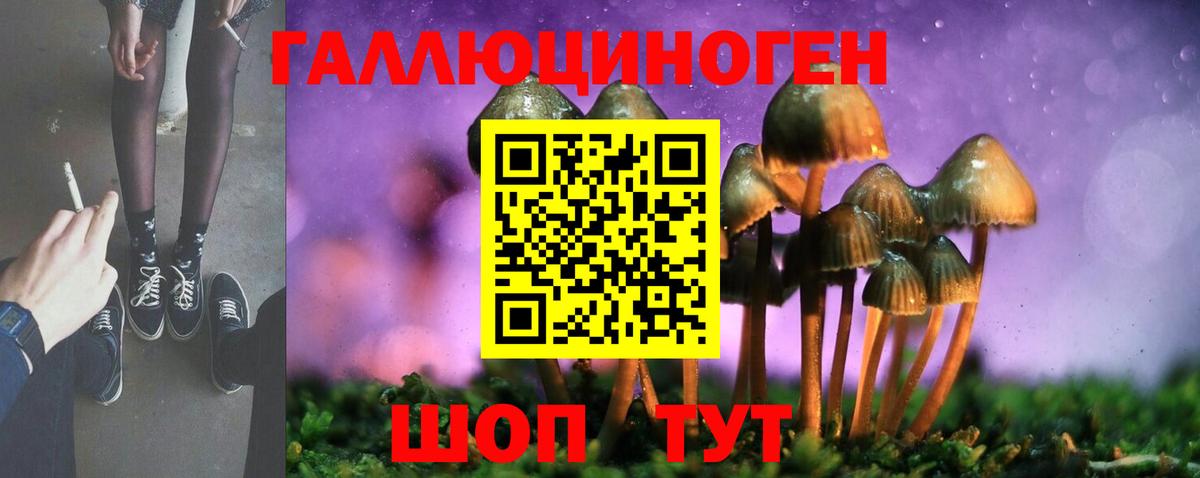 Псилоцибиновые грибы MAGIC MUSHROOMS  наркошоп  Вход с VPN  Луховицы  Галлюциногенные грибы мухоморы 