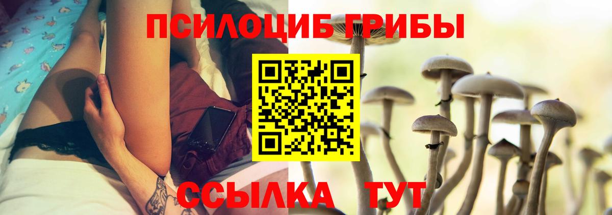 Псилоцибиновые грибы Psilocybine cubensis Луховицы