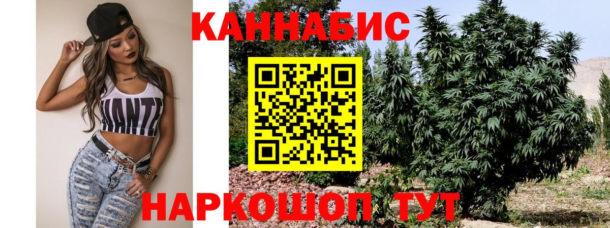 Бошки марихуана сатива Луховицы